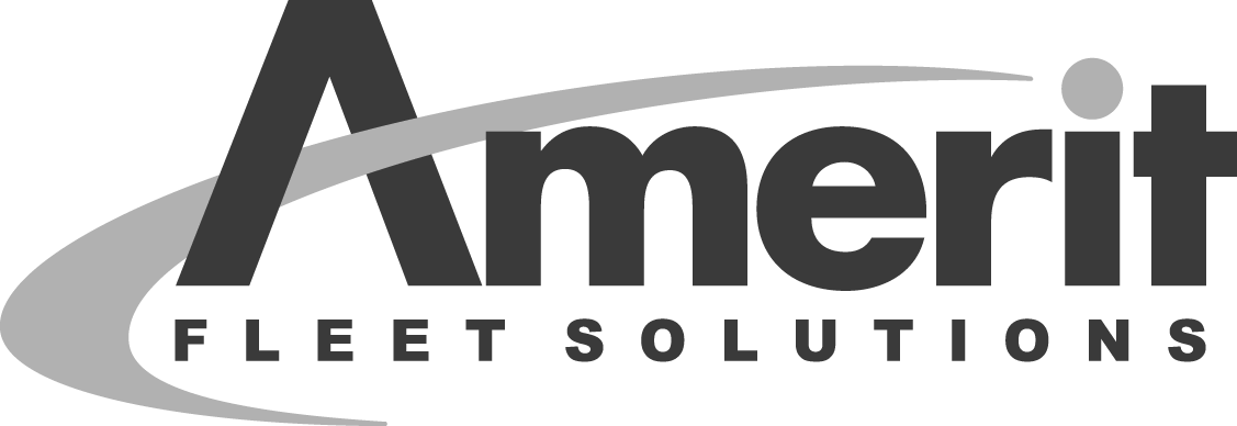 Amerit Fleet Solutions